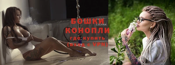 ПСИЛОЦИБИНОВЫЕ ГРИБЫ Карпинск