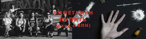 ПСИЛОЦИБИНОВЫЕ ГРИБЫ Карпинск
